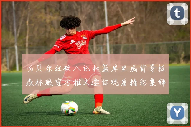 戈贝尔狂砍八记扣篮库里成背景板森林狼官方推文邀你观看精彩集锦